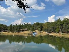 -南京市无想山景区