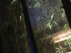 -涨巢·潮玩水疗局