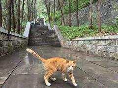 -四门塔风景区