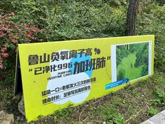 -鲁山国家森林公园