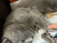 -美联众合动物医院·24h京西诊疗中心
