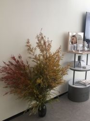 -JNK皮肤管理中心