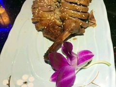 -周渝食惦酸菜鱼(青浦店)