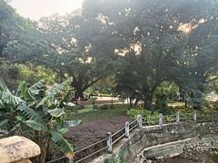 -晓港公园