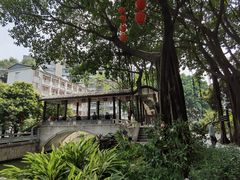 -荔湾湖公园