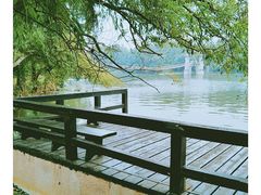 -东湖落雁景区