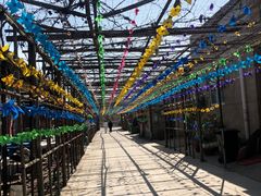 -亲兄弟真人CS团建拓展基地