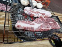 -奥西拉烤肉,盒饭,冷面(青岩刘店)