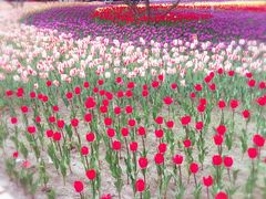 -长春公园(普阳街道)