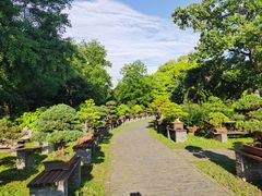 -扬州大运河文化旅游度假区·盆景园