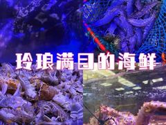 -盒马鲜生(大成店)