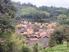 -杨家堂村