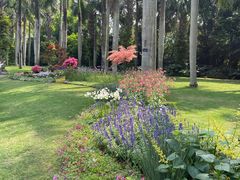 -深圳仙湖植物园