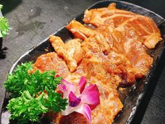 蜜汁猪排-吉力烤鳗