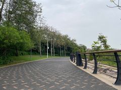 -深圳湾公园(南山区)