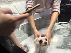 -MOLLY'S萌宠生活馆