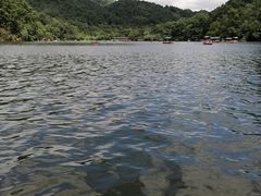 -黔灵山公园
