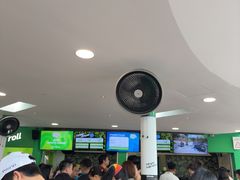 -圣淘沙天际线斜坡滑车