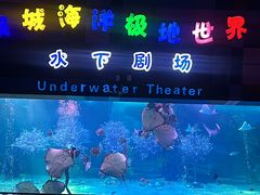 -泉城欧乐堡海洋极地世界