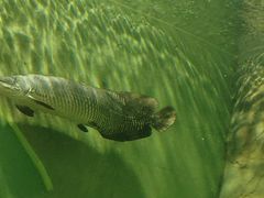 -上海海洋水族馆