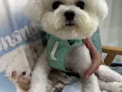 -佳雯宠物医院·皮肤科·内外科(春晓路分院)