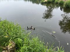-前关湿地公园