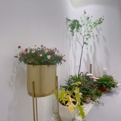 -RUMI日弥美容会所