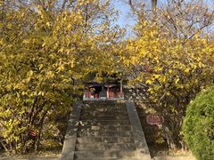 -泰山风景名胜区-普照寺