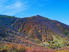 -灵山