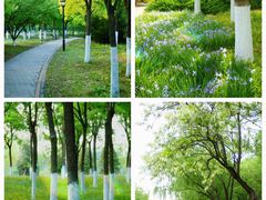 -永定河休闲森林公园