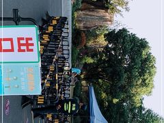 -昆山城市生态森林公园