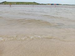 -呼兰河口湿地公园