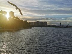 -东湖公园