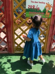 -萌宠亲子动物乐园(槐房万达店)