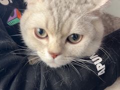 -美联众合动物医院·24h转诊中心
