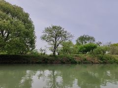 -西溪国家湿地公园