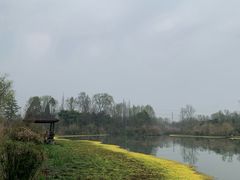 -桤木河湿地公园