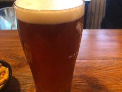-Arrow Factory Brewing箭厂啤酒