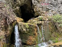 -海清宁记大馅云吞