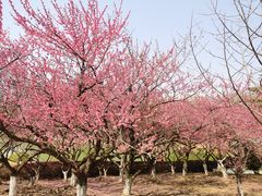 -白塘生态植物园