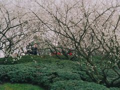 -秀丽东方