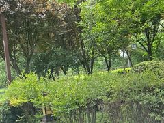 -西安汉城湖景区