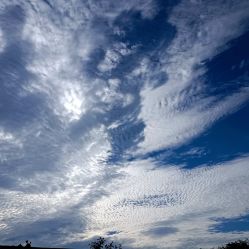 -优沃得自然教育农场·冰雪乐园·生日会·研学