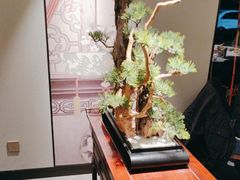 -顺峰(农展馆店)