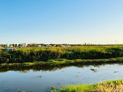 -春花秋色城市公园