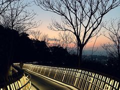 -福道