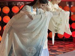 -圣爵菲斯大酒店(长沙世界之窗店)