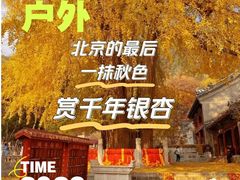 -潭柘寺景区