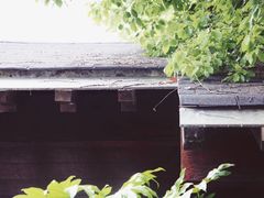 -西湖外事游船(花港观鱼码头)