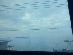 -阿军排档·烧烤